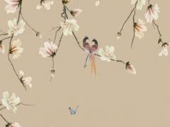 八字打一動物是什么生肖 八字指什么動物