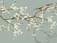 2024年屬兔的命,2024年生肖兔