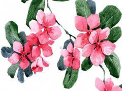 屬羊女和屬羊男合適嗎 屬羊女跟屬羊男合適嗎