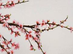 憂傷的網(wǎng)絡(luò)游戲網(wǎng)名大全 有哪些憂傷的網(wǎng)名