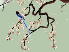 2023年屬什么顏色的兔子,2023年屬兔嗎