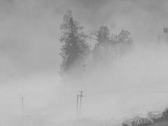 屬兔人2023年的大忌