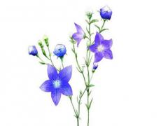 生辰八字弱的人有什么特點(diǎn) 生辰八字弱是不是命不好