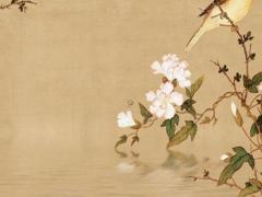 屬牛人明年運勢2023年怎么樣,屬牛明年的運勢怎么樣2023