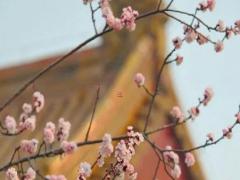 八字里的偏財是指什么 算八字當中的偏財是什么意思