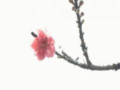 公司成立怎樣取公司名字 企業(yè)蒸蒸日上好名解析