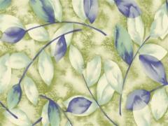 2023屬兔一月出生好嗎男孩,2023年兔寶寶每個月出生的運勢