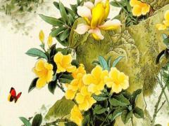 屬兔死后葬哪個方位,屬兔的人死了什么屬性不能送