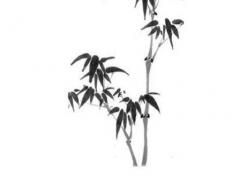 屬鼠適合做十大生意,屬鼠人適合做的行業