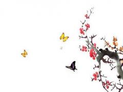 涵屬于五行屬什么字 涵是屬于五行屬什么