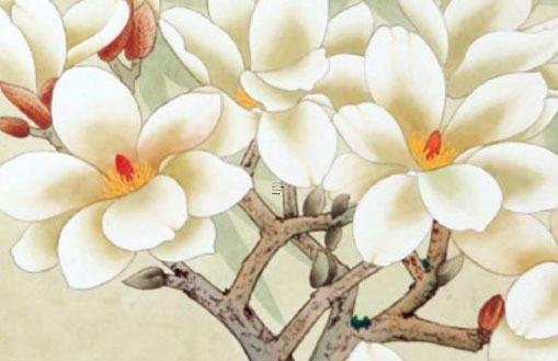 1998年在2023年的運氣,1998年屬虎24歲以后一生命運 1998年在2023年的運氣,1998年屬虎24歲以后一生命運