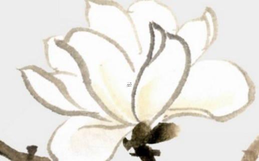 測智商最準的圖片大全 測智商的圖片并有答案 測智商最準的圖片大全 測智商的圖片并有答案