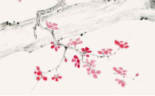 雙子座女生的長相圖 雙子女長什么樣子 雙子座女生的長相圖 雙子女長什么樣子