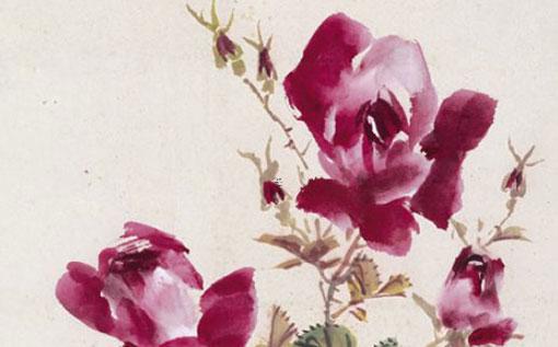 出生時辰馬與兔婚配如何 馬和兔生什么生肖最好