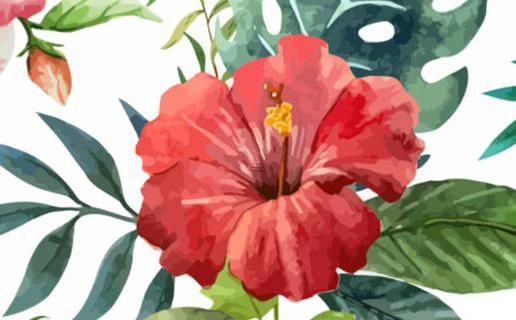 八字屬金喜木戴什么 金命喜木適合做什么行業(yè) 八字屬金喜木戴什么 金命喜木適合做什么行業(yè)