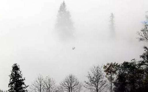 精準八字精批一生命運 八字精批精準測算 精準八字精批一生命運 八字精批精準測算