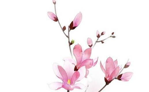 姓趙的好聽的女生名字 姓趙的好聽的女生名字