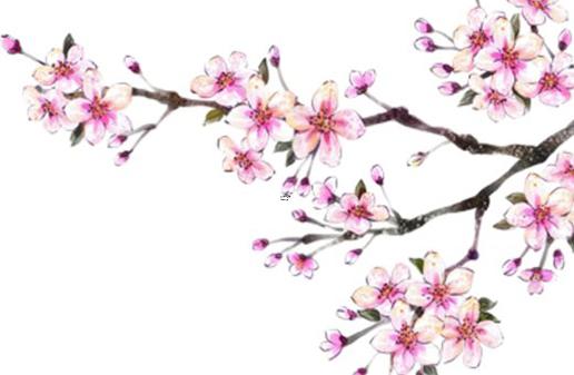 算命犯掃地星是什么意思 八字上的掃地星 算命犯掃地星是什么意思 八字上的掃地星