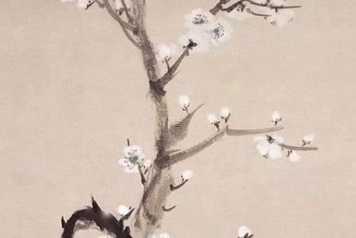 屬虎男和屬豬女婚姻，屬虎男和屬豬女婚姻幸福嗎