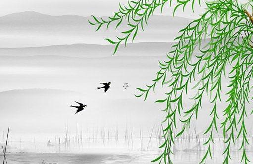 屬馬沖太歲2023化解戴紅繩，2023屬馬犯太歲佩戴什么