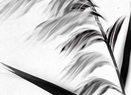 排八字需要知道什么 排八字的七個步驟詳解 排八字需要知道什么 排八字的七個步驟詳解