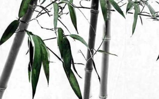 四柱五行八字算命123 五行四柱八字排盤免費查詢 四柱五行八字算命123 五行四柱八字排盤免費查詢