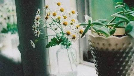 周公解夢夢見糞坑撈魚 夢見在屎坑里撈魚 周公解夢夢見糞坑撈魚 夢見在屎坑里撈魚