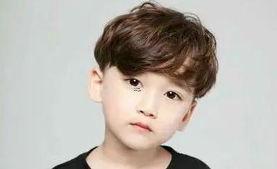 夢見鳥懷有小鳥是什么意思 夢見鳥懷有小鳥是什么意思