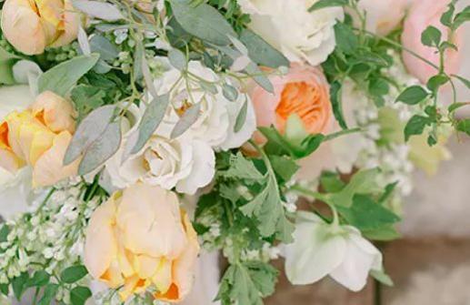 最讓人迷戀的星座 最讓人迷戀的星座