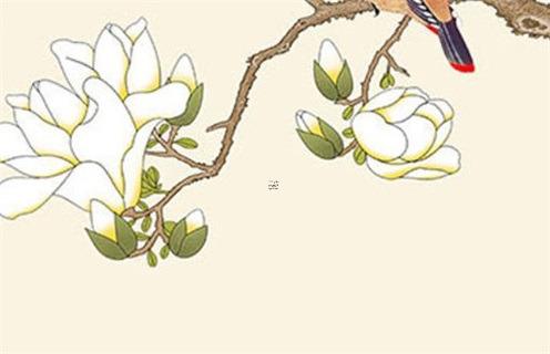 五九年屬豬是什么星座，五九年屬豬的今年多大了