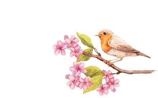 這些英雄人物的名字你都知道嗎 英雄人物都有誰?名字叫什么? 這些英雄人物的名字你都知道嗎 英雄人物都有誰?名字叫什么?