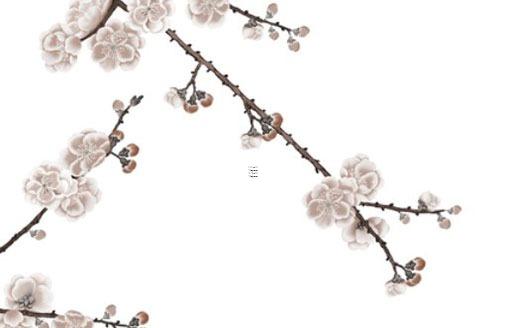 屬虎2023年運勢及運程男性,1962年屬虎2023年運勢及運程男性 屬虎2023年運勢及運程男性,1962年屬虎2023年運勢及運程男性