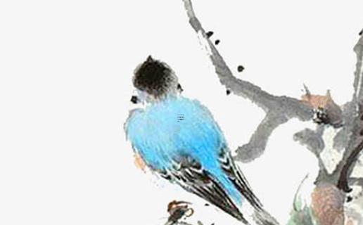 屬蛇的和屬老鼠的相配嗎 屬蛇的跟屬老鼠的合得來嗎 屬蛇的和屬老鼠的相配嗎 屬蛇的跟屬老鼠的合得來嗎