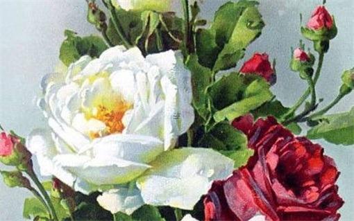 算另一半的姓氏屬相 另一半姓什么準確測試 算另一半的姓氏屬相 另一半姓什么準確測試