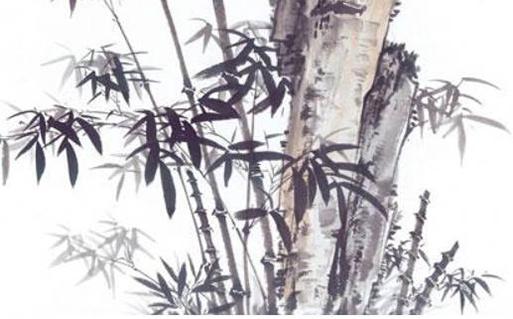 哪幾類患者禁止轉運 以下患者哪種情況不能轉運 哪幾類患者禁止轉運 以下患者哪種情況不能轉運