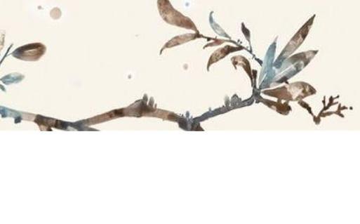 屬豬的2023年20幾歲了，2023年屬豬百年難遇