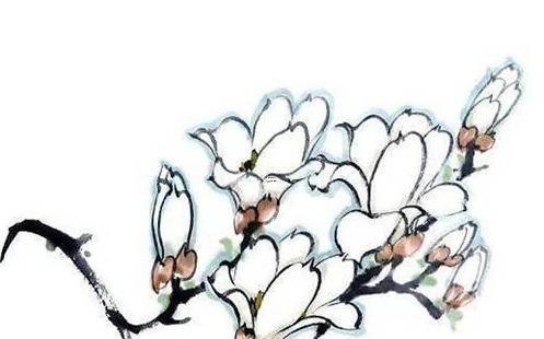 屬兔女找對象好找嗎，屬兔女找什么屬相的對象好呢