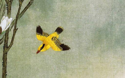 屬猴人今年六十幾歲,屬猴今年60幾歲 屬猴人今年六十幾歲,屬猴今年60幾歲