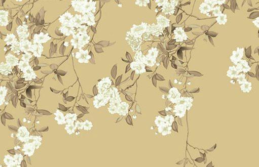 屬蛇的婚姻與情感 屬蛇跟屬蛇的婚姻