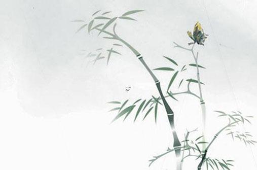 在家里種什么植物好 在家里種什么植物最好 在家里種什么植物好 在家里種什么植物最好