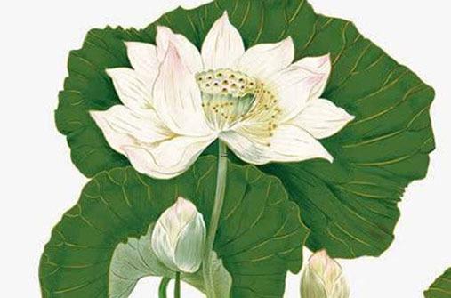 易經(jīng)婚姻配對 易經(jīng)婚姻配對解析