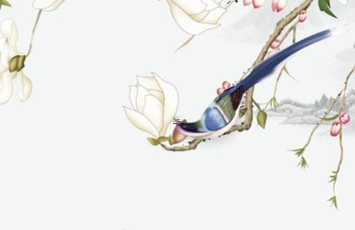 屬虎人2023年每月運程如何，虎人2023年每月運程每月運勢