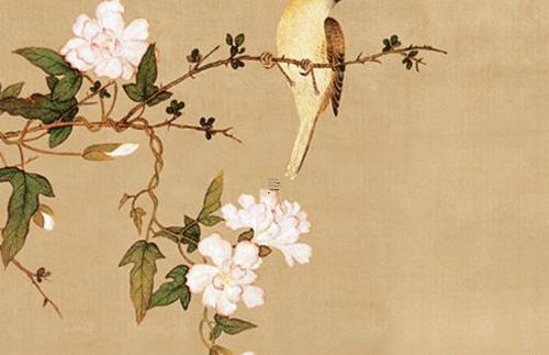 01年屬蛇2023年多大虛歲,2001年屬蛇2023年運(yùn)勢(shì)及運(yùn)程每月運(yùn)程