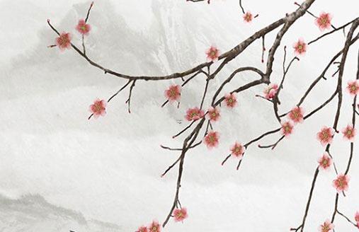 到了2023屬什么生肖 到了2023屬什么生肖