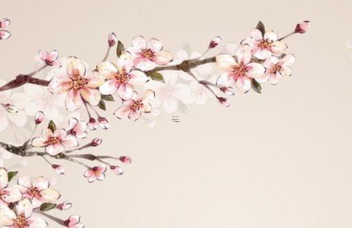 2023黑兔年屬牛人是好是壞,2023黑兔寶寶好 2023黑兔年屬牛人是好是壞,2023黑兔寶寶好