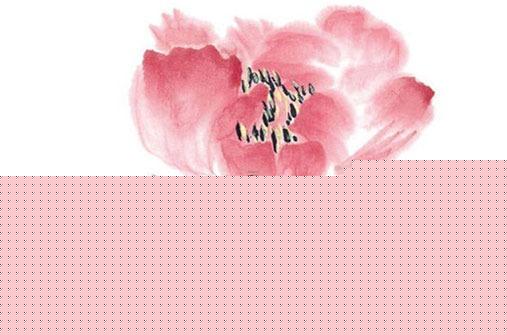 2004屬猴的缺點，2004屬猴的人命運