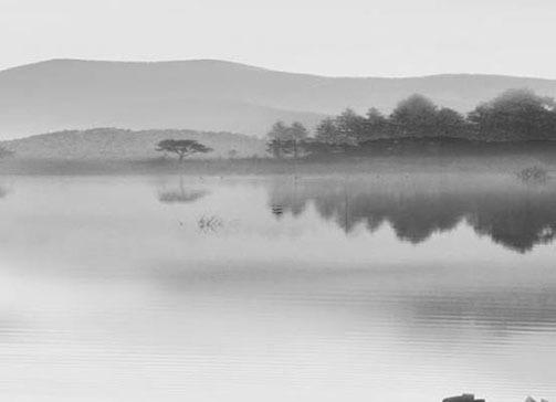 屬蛇女戴什么屬相吊墜好 屬蛇女戴什么首飾最好 屬蛇女戴什么屬相吊墜好 屬蛇女戴什么首飾最好