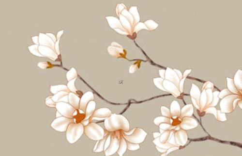 屬蛇女士適合戴什么配飾，屬蛇女生適合戴什么