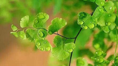 夢見已故丈夫拉屎在床上 夢見死去的丈夫拉屎 夢見已故丈夫拉屎在床上 夢見死去的丈夫拉屎