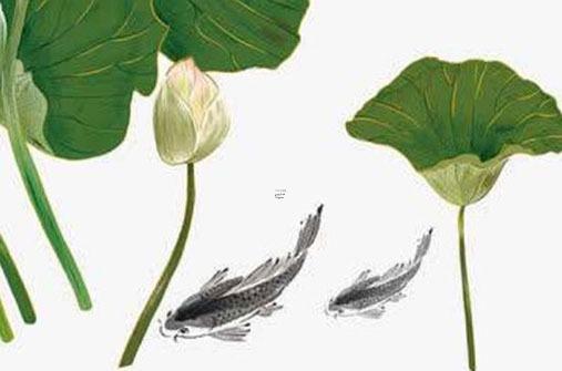 59年出生屬豬今年多大 59年屬豬的多大 59年出生屬豬今年多大 59年屬豬的多大